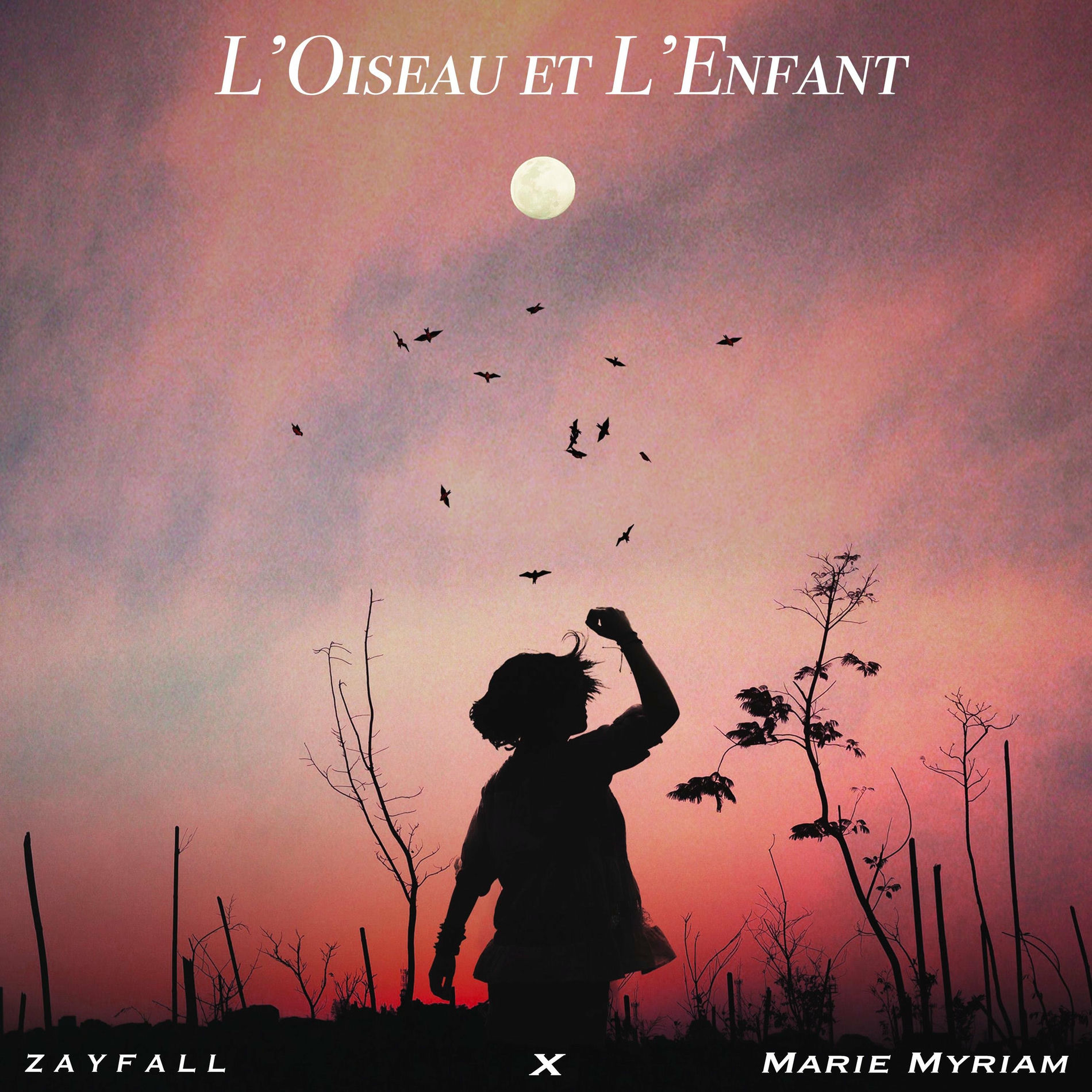 Album cover of L'Oiseau et l'Enfant