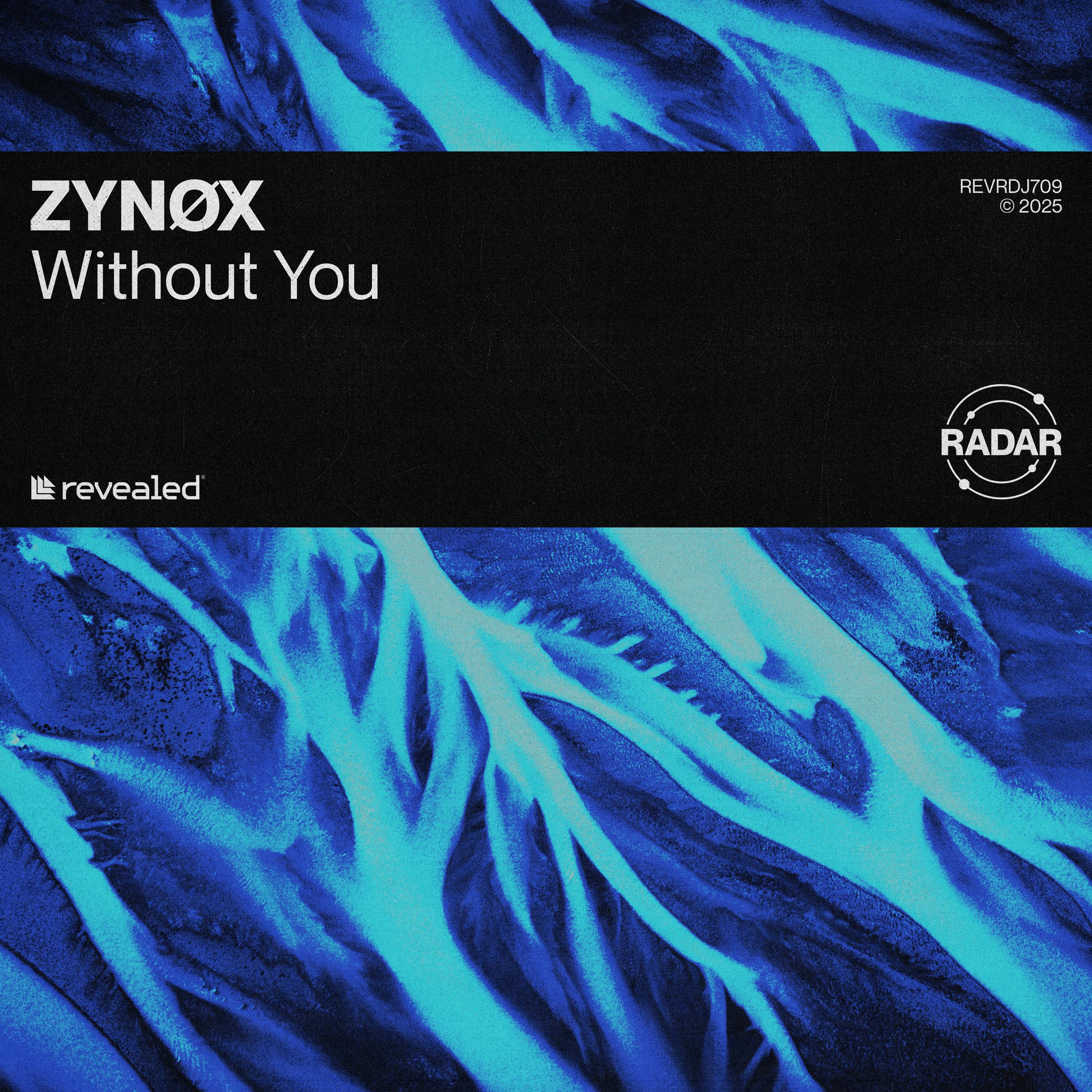 Album cover of Without You