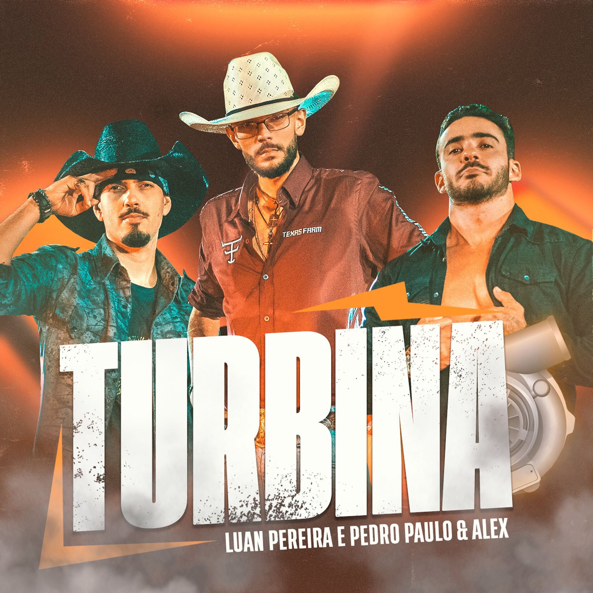 Album cover of Turbina