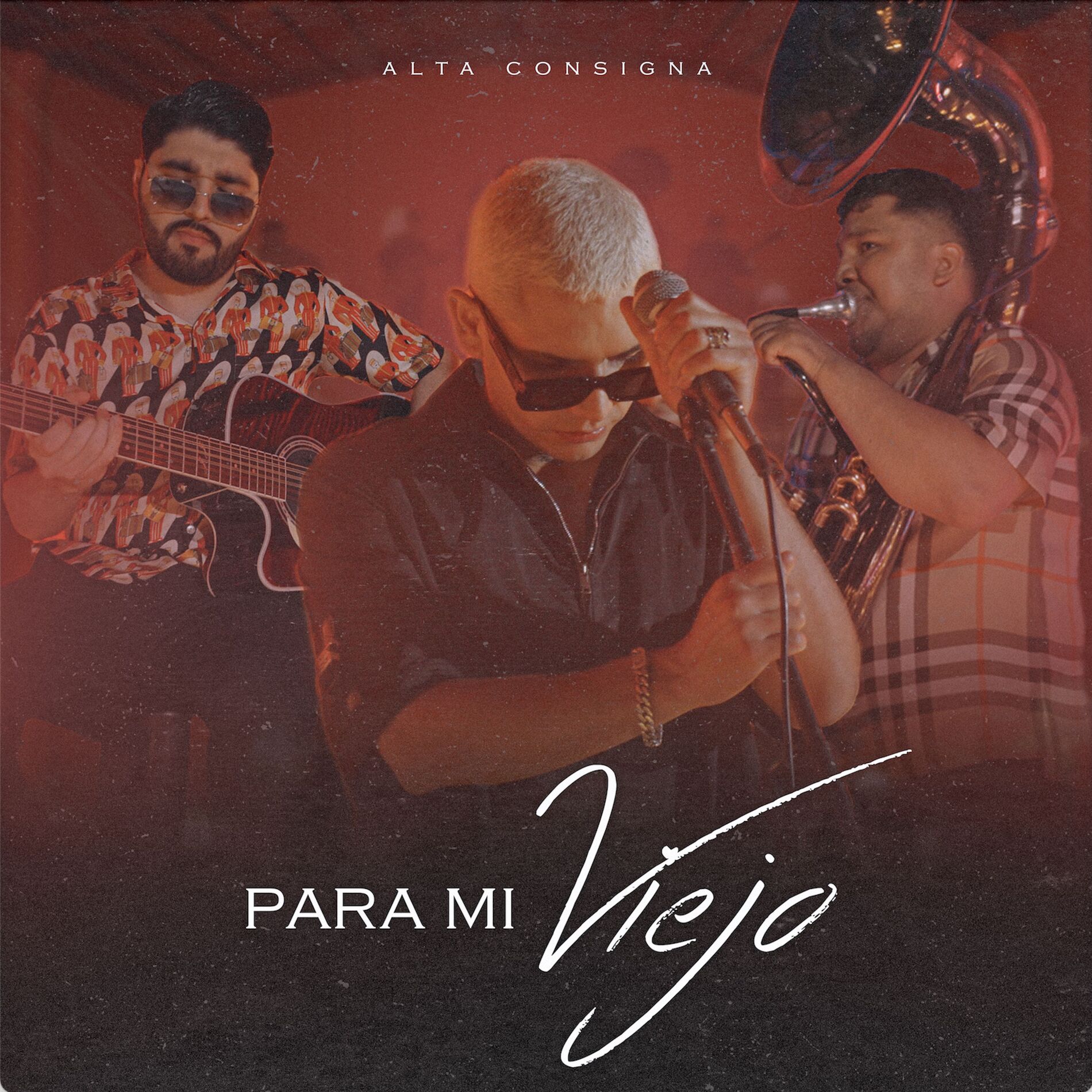 Album cover of Para Mi Viejo