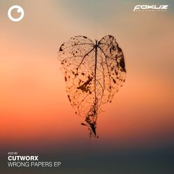 Cover of Wrong Papers EP