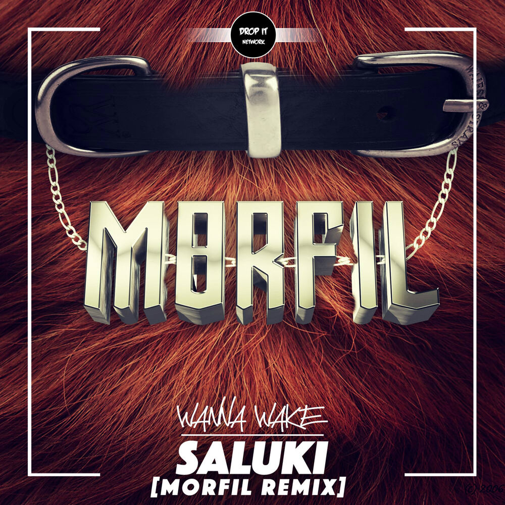 Picture of Saluki (Morfil Remix)