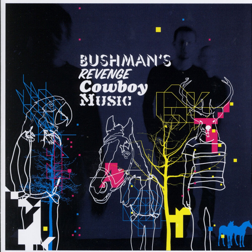 Picture of Cowboy Music