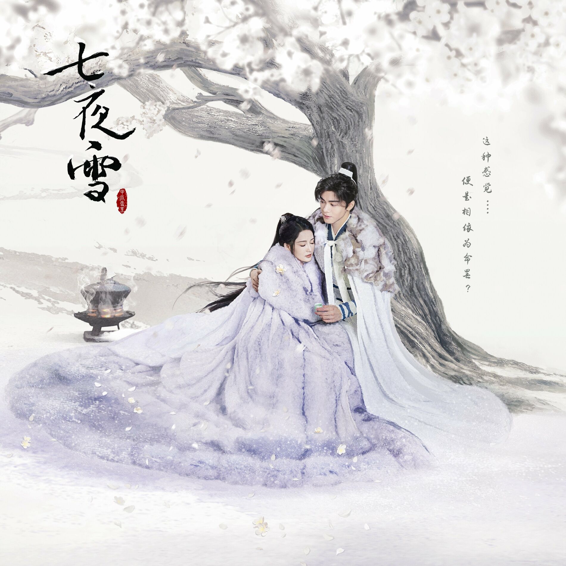 Album cover of 電視劇《七夜雪》原聲大碟