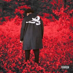 Cover of Last Man Standing