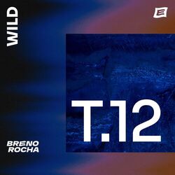 T12.Wild
