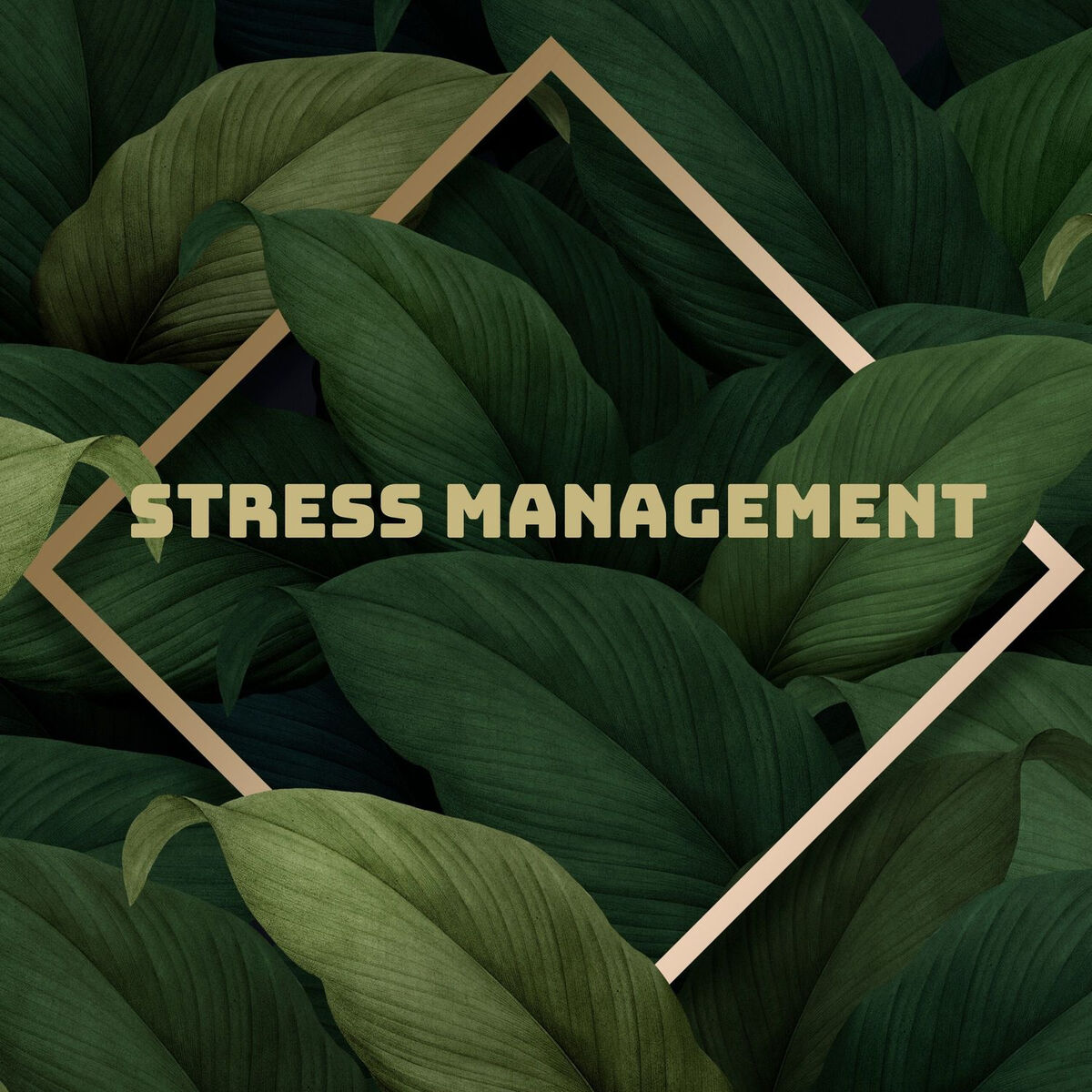 Album cover of Stress Management: Release Tension, Chakra Healing Visualization, Reiki Therapy, Stay Positive, Muscle Relaxation