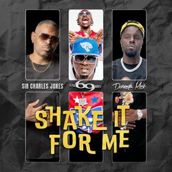 Cover of Shake It For Me