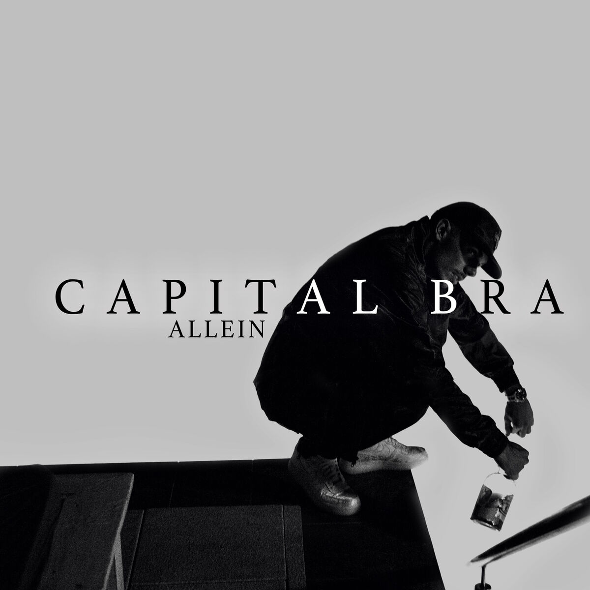 Album cover of Allein