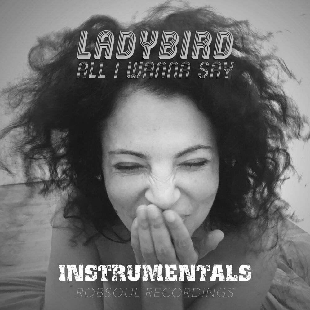 Picture of All I Wanna Say (Instrumentals)