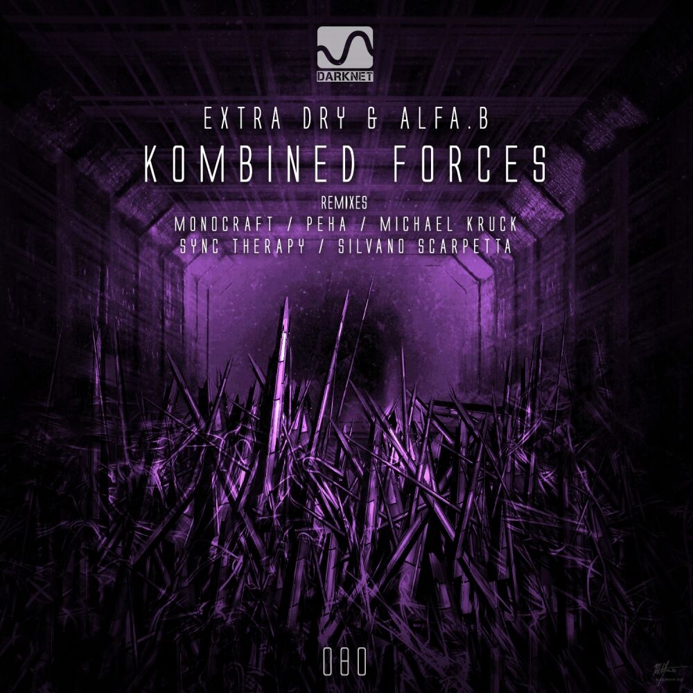 Picture of Kombined Forces