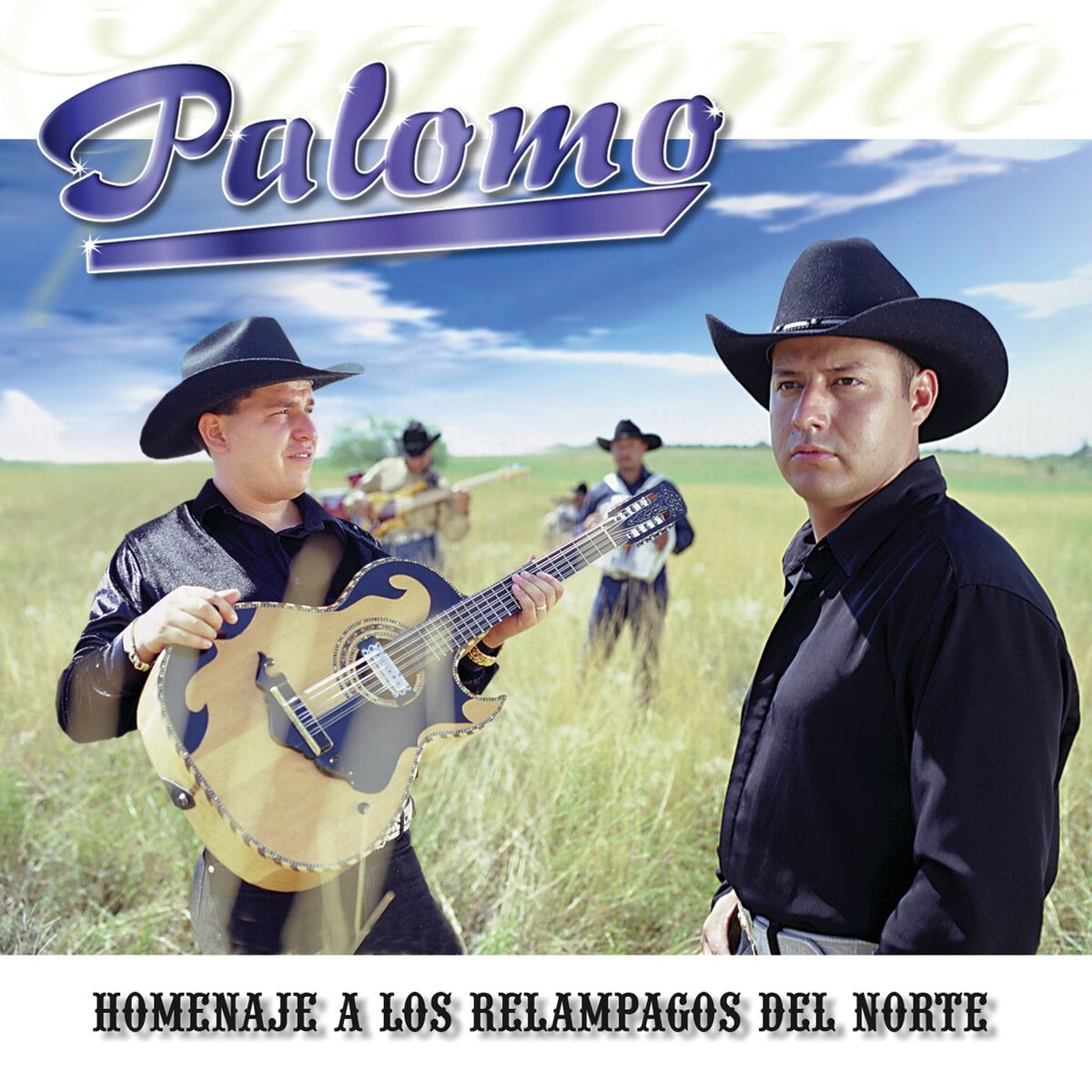 Album cover of Homenaje A Los Relampagos Del Norte