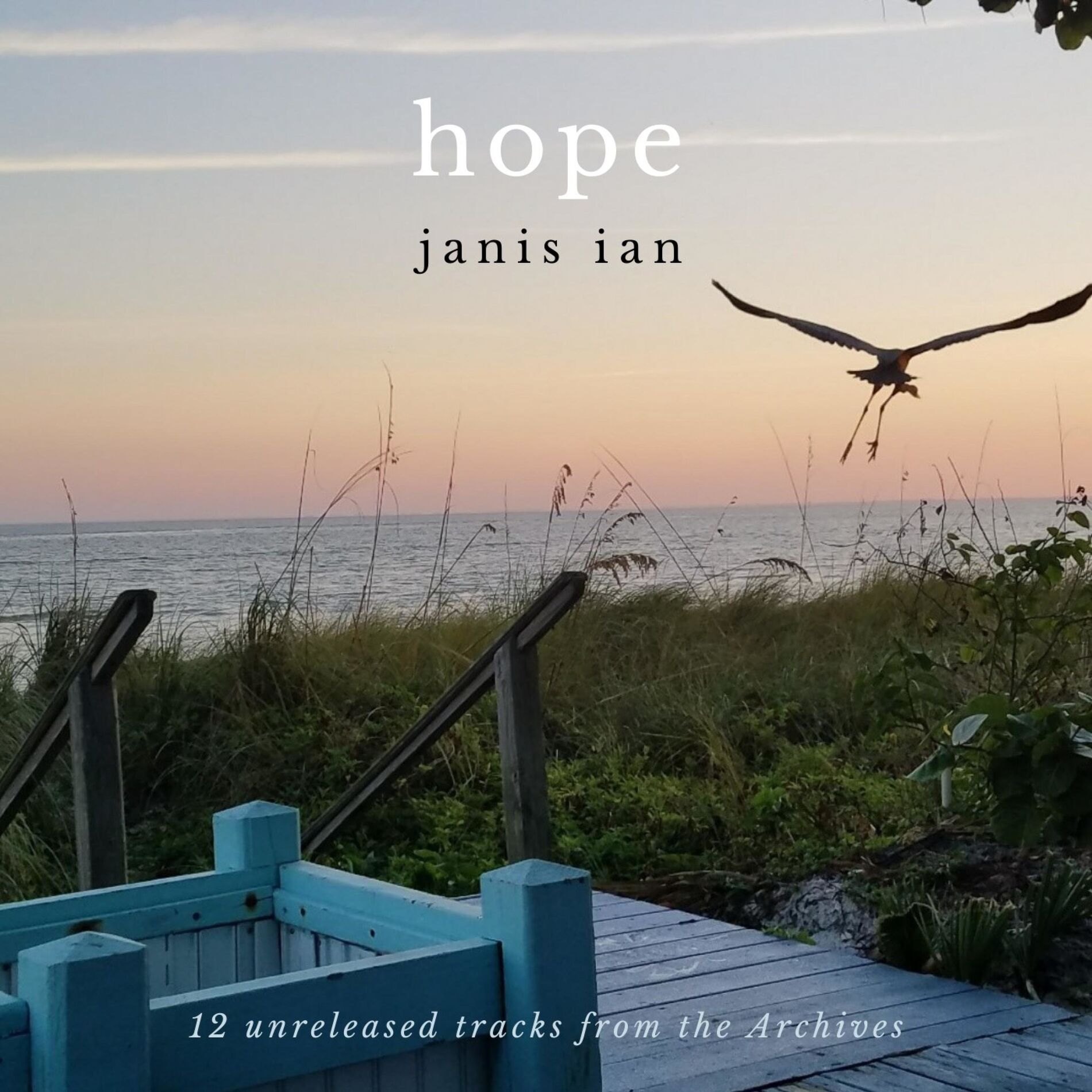 Album cover of Hope