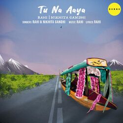 Cover of Tu Na Aaya