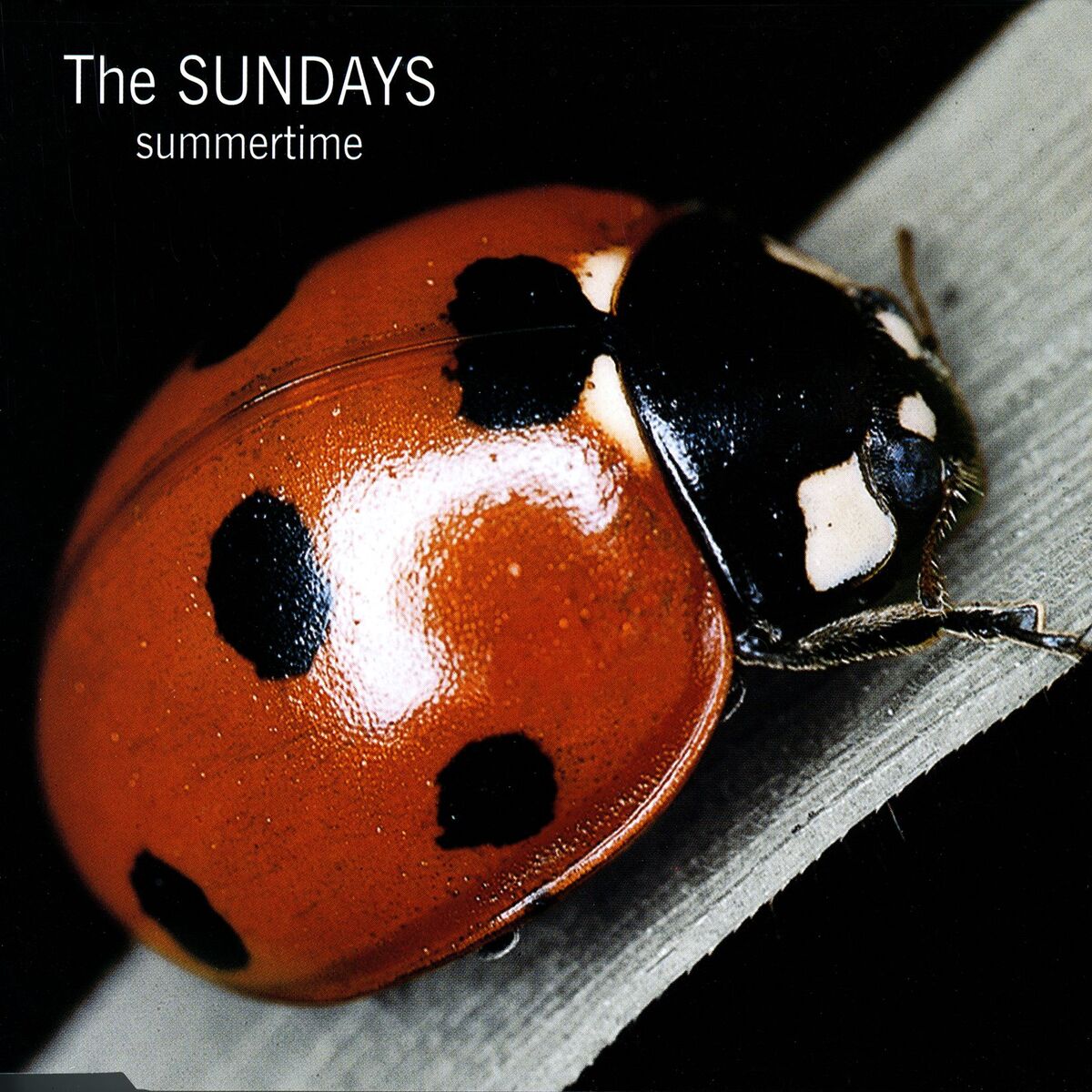Album cover of Summertime