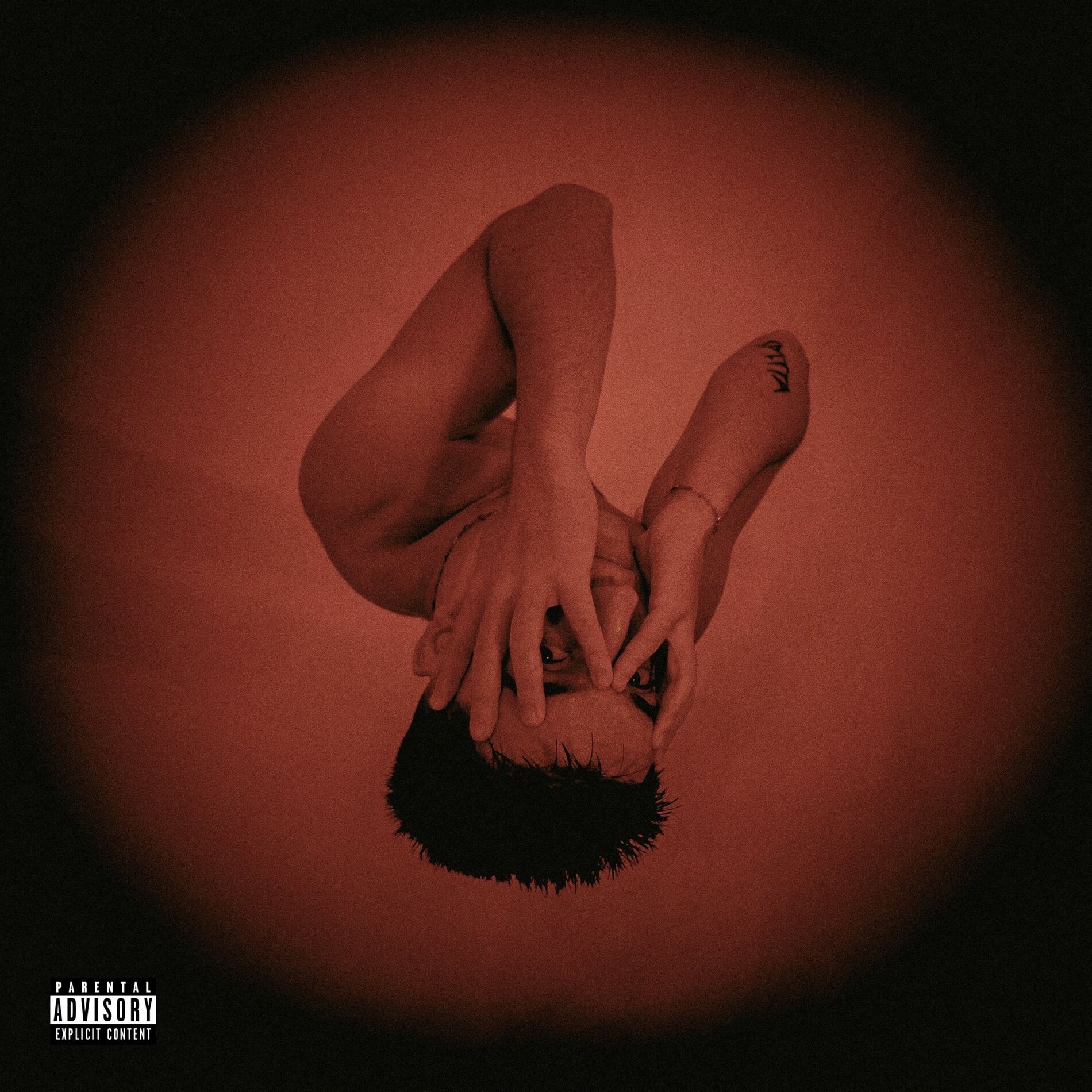 Album cover of Not If, But When