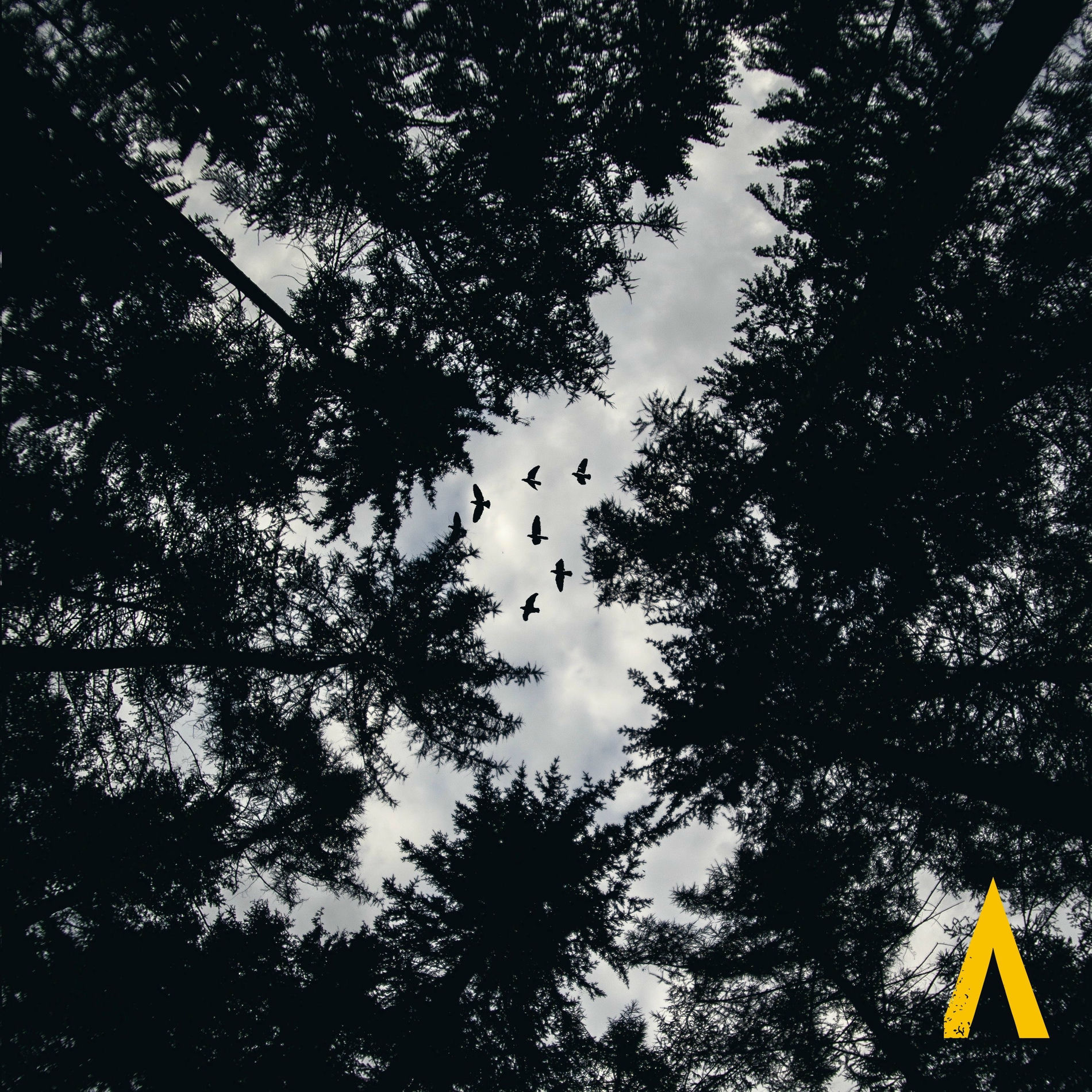 Album cover of Profiter