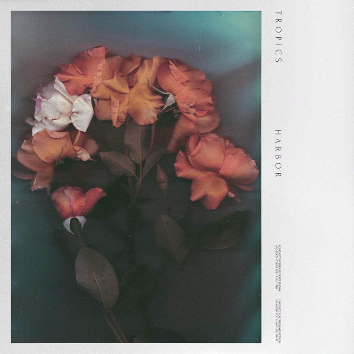 Album cover of Harbor