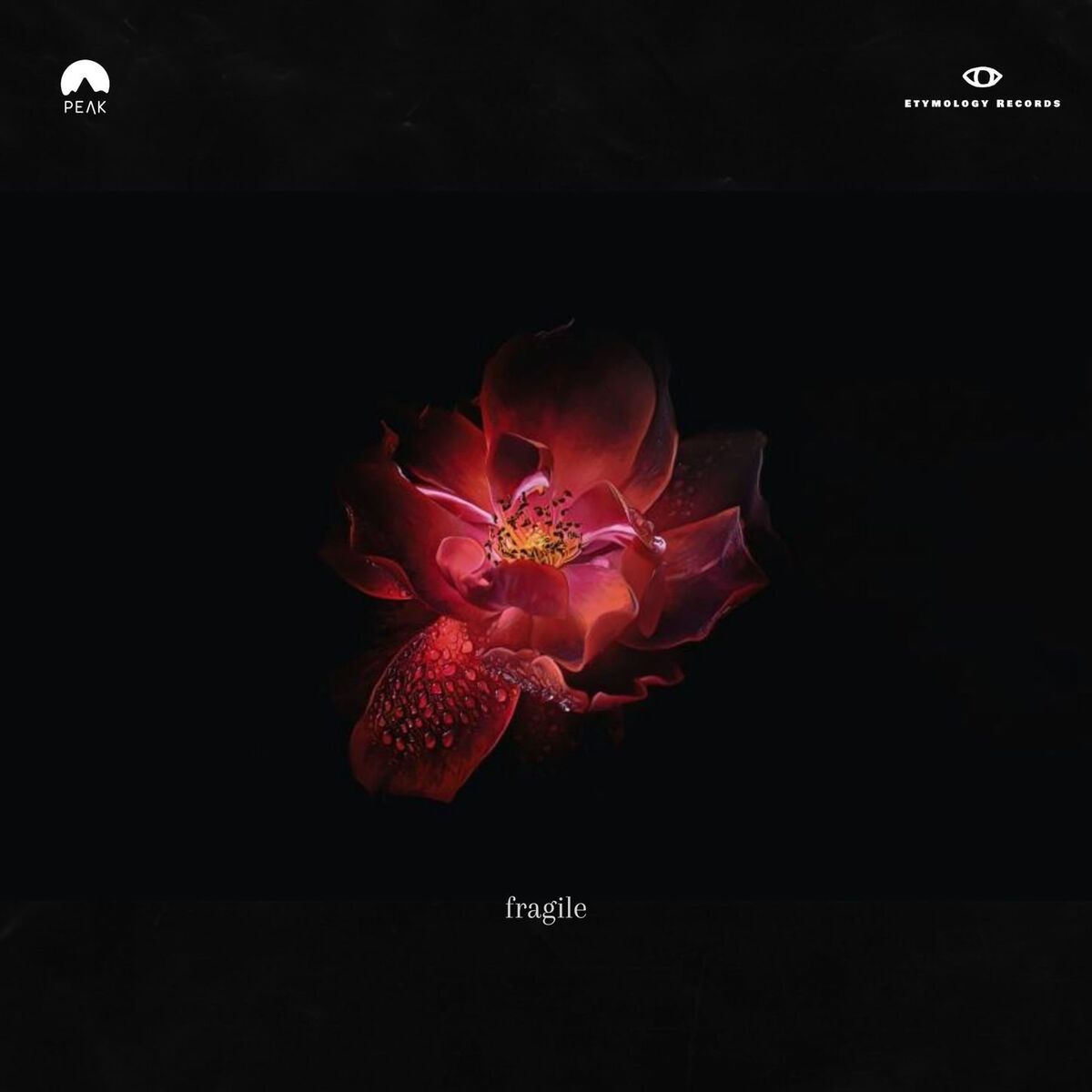 Album cover of Fragile