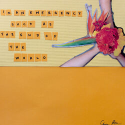 Cover of In an Emergency Such as the End of the World