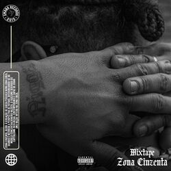Cover of Zona Cinzenta