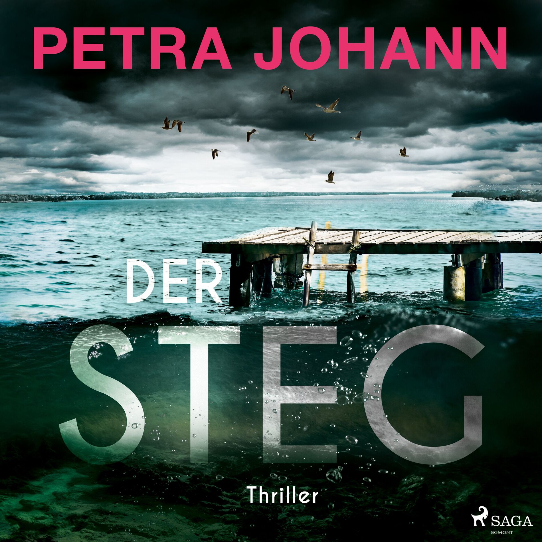 Album cover of Der Steg (Thriller)