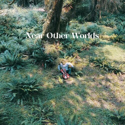 Cover of Near Other Worlds
