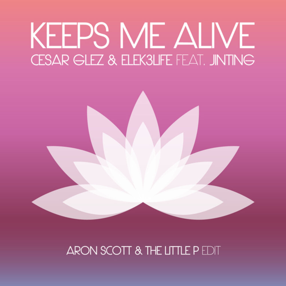 Picture of Keeps Me Alive (Aron Scott & the Little P Edit)