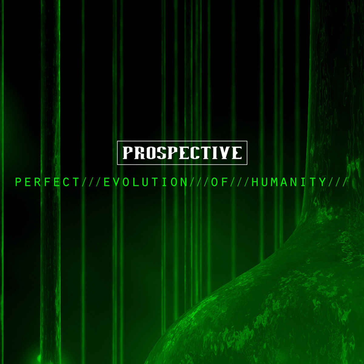 Album cover of Perfect Evolution Of Humanity
