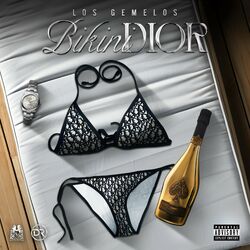 Cover of Bikini Dior