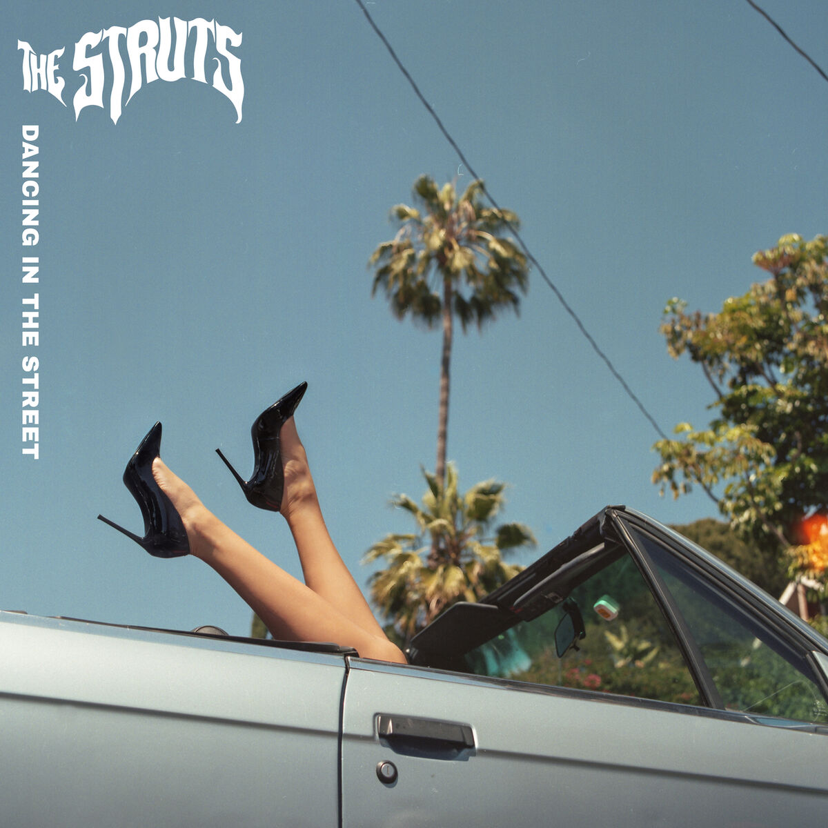 Album cover of Dancing In The Street