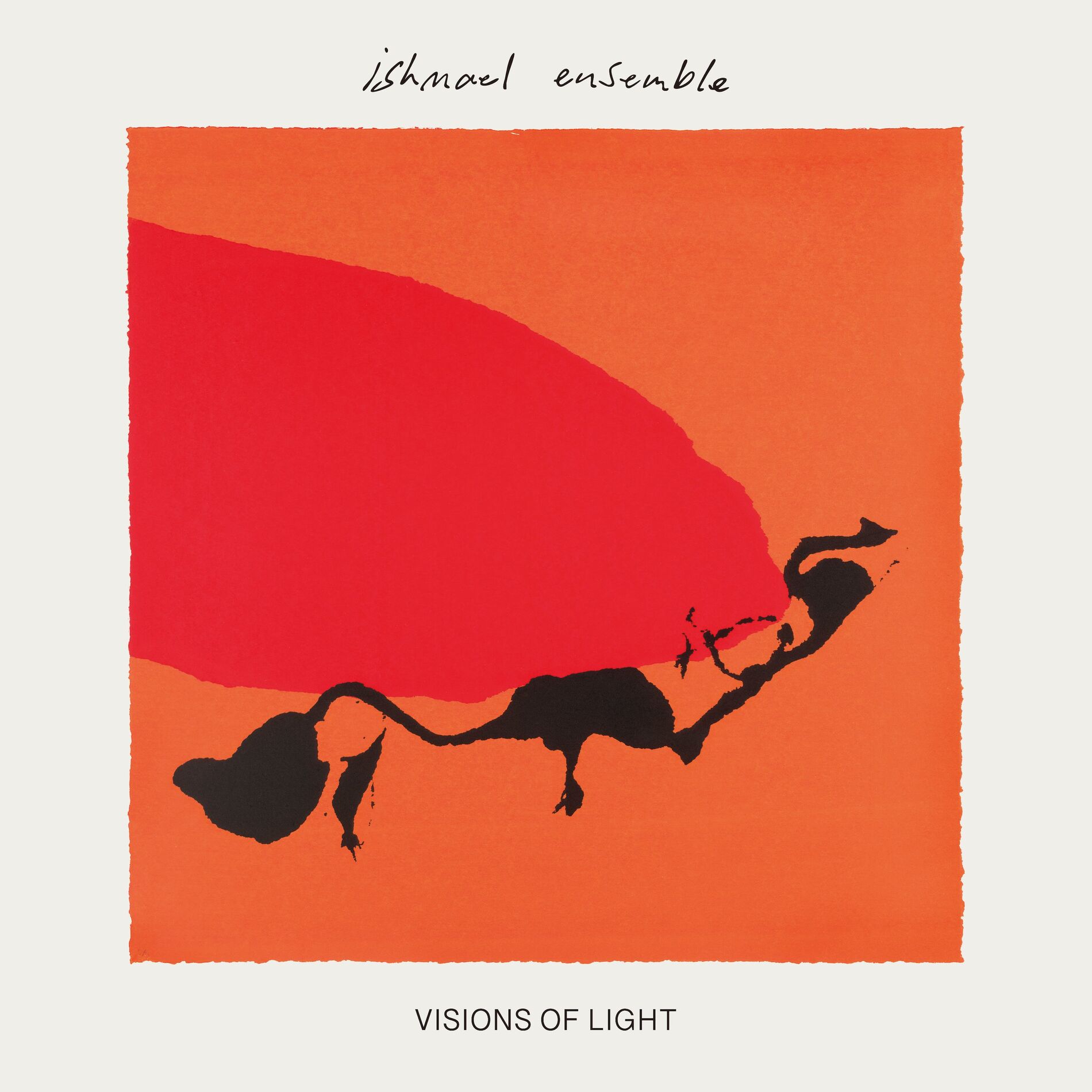 Album cover of Visions of Light