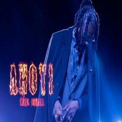 Cover of Ahoyi