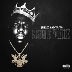 Cover of Biggie Voice
