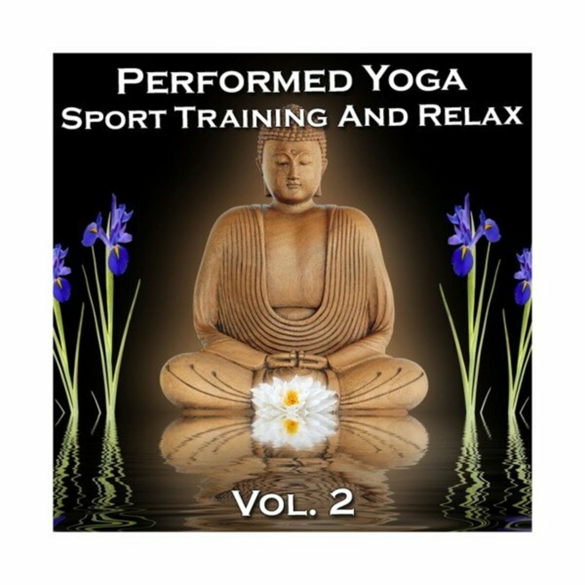 Album cover of Performed Yoga Sport Training And Relax, Vol. 2