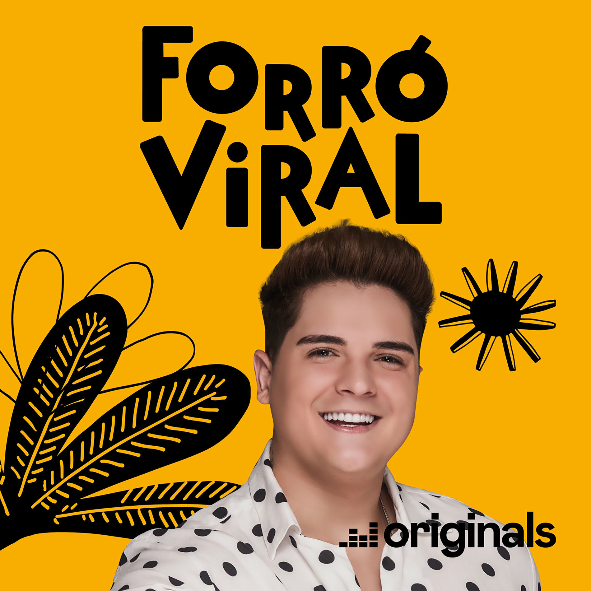 Album picture of Sua Recaída - Forró Viral