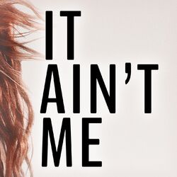 Cover of It Ain't Me (feat. Kurt Hugo Schneider)