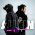 Allein (feat. S.K.Y Musik)