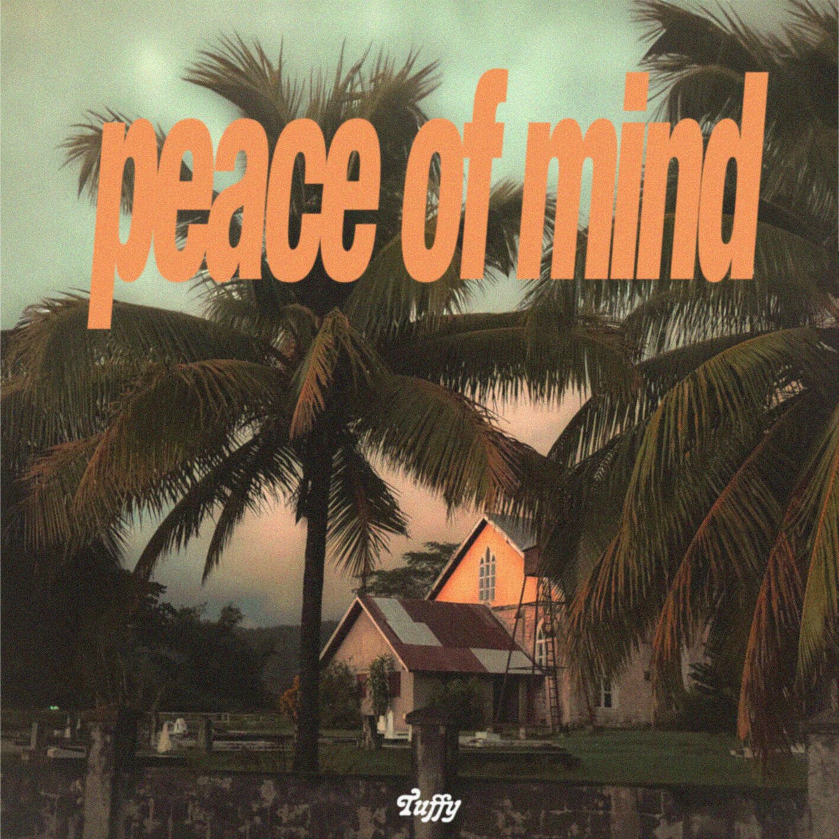 Album cover of peace of mind