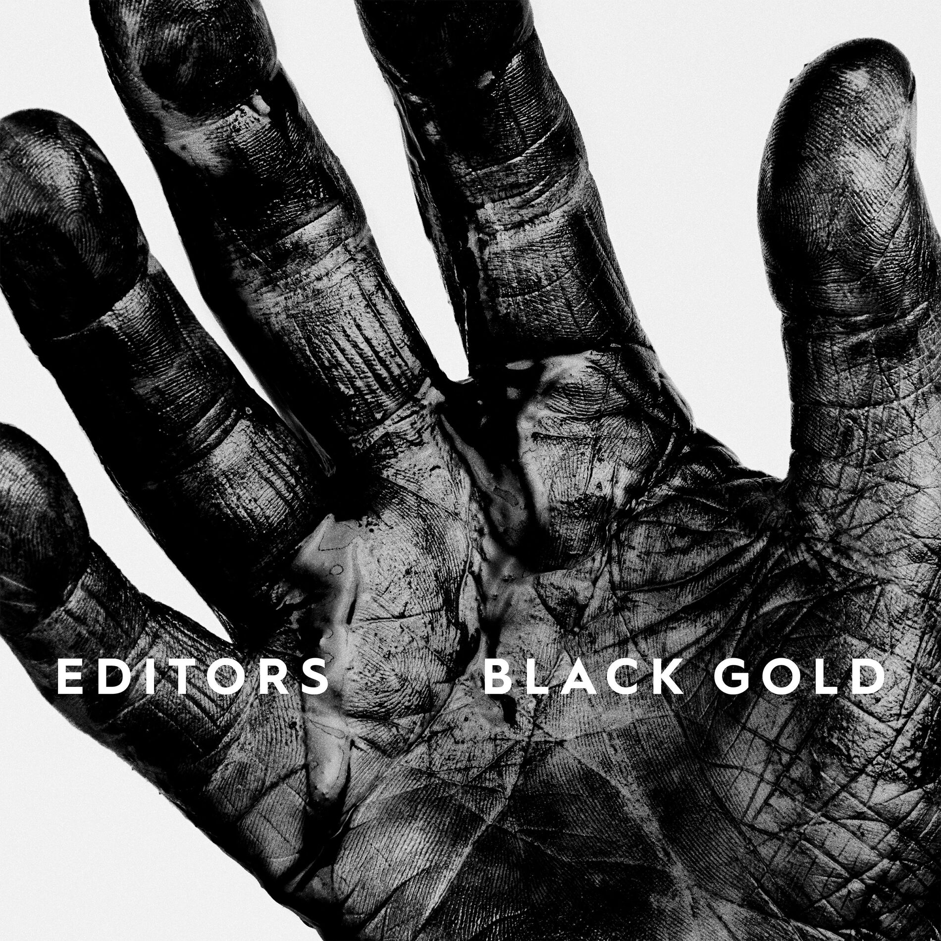 Album cover of Ocean of Night