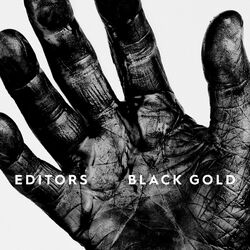 Cover of Black Gold : Best of Editors (Deluxe)