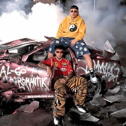 Tóxicos