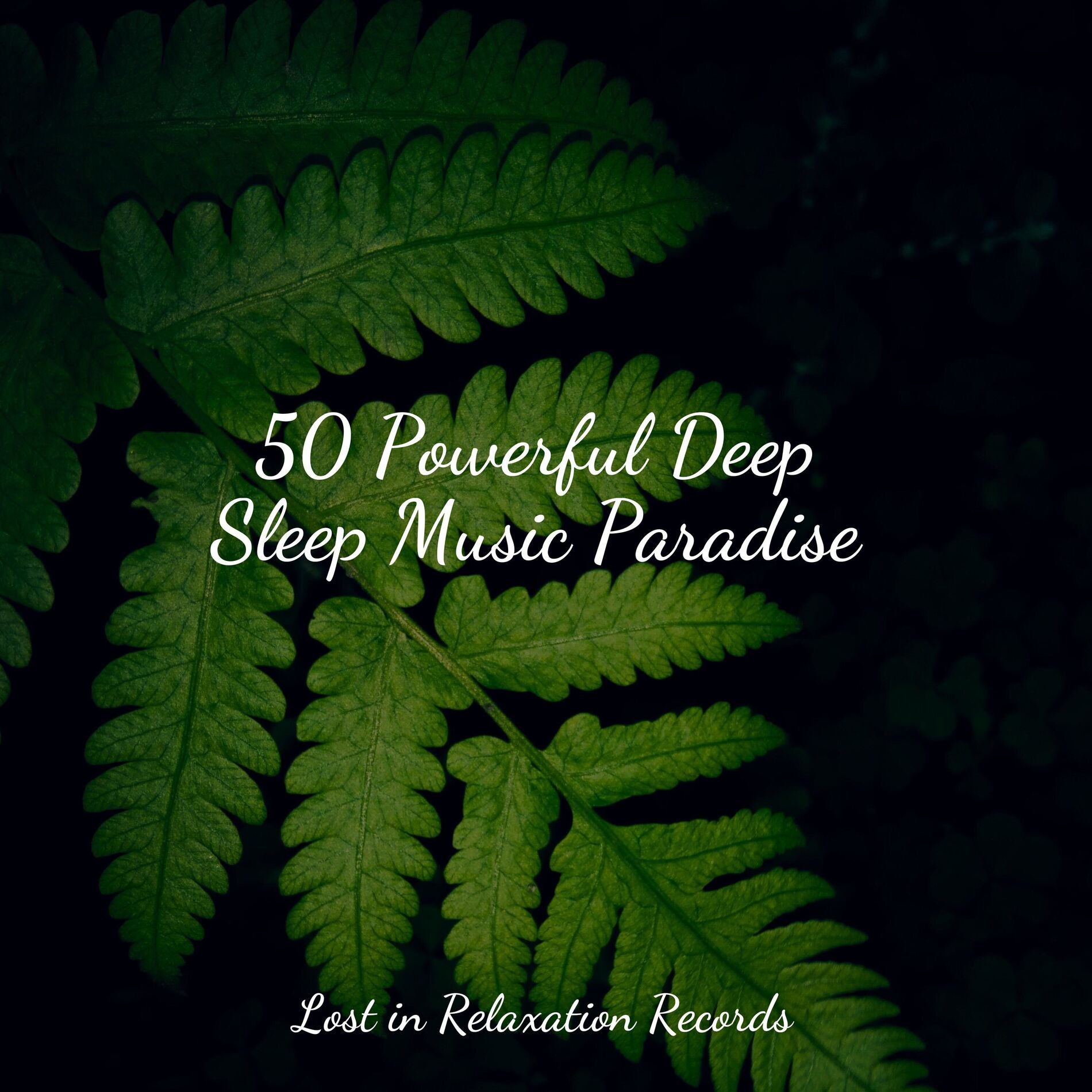 Album cover of 50 Powerful Deep Sleep Music Paradise