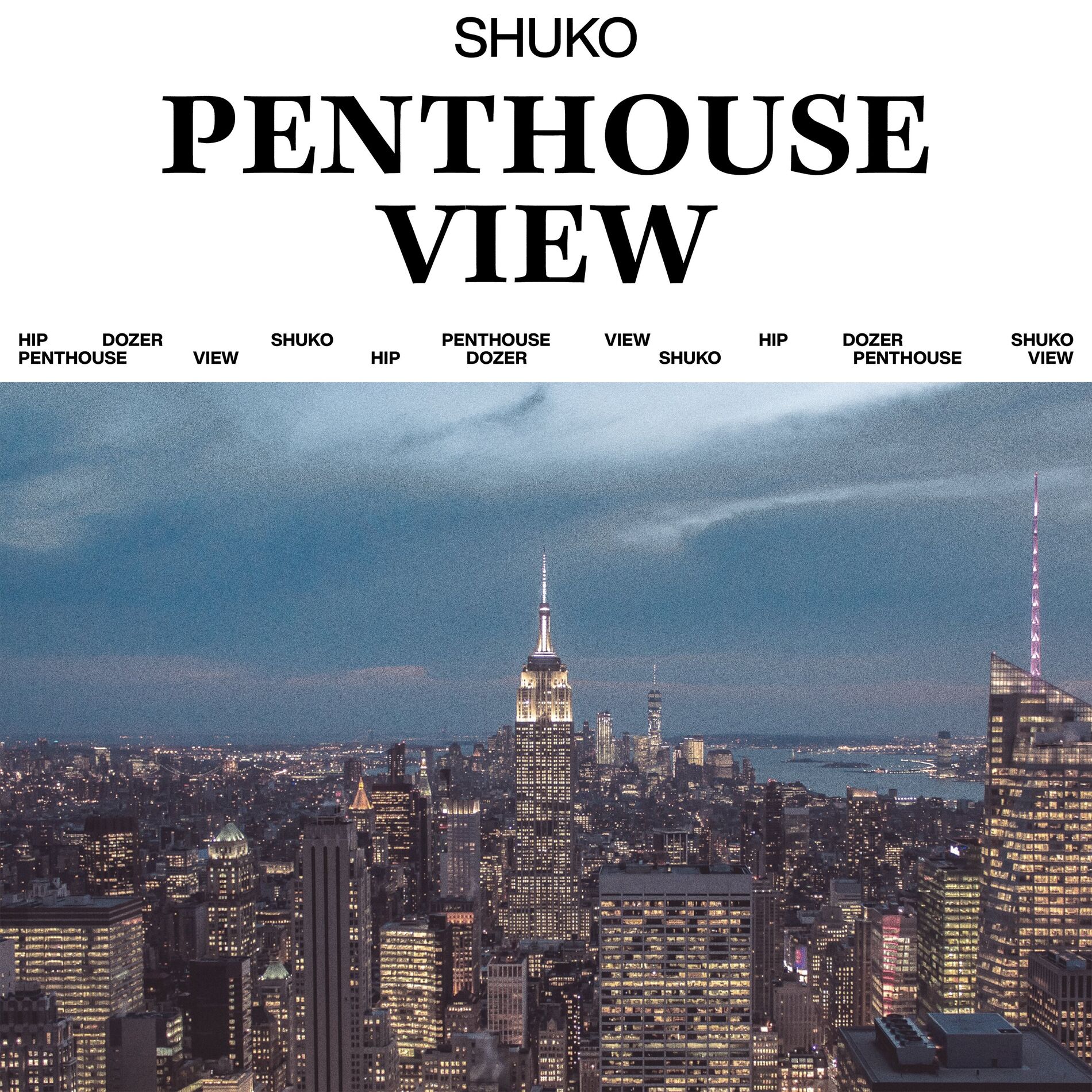 Album cover of Penthouse View
