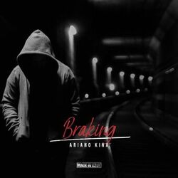 Cover of Braking