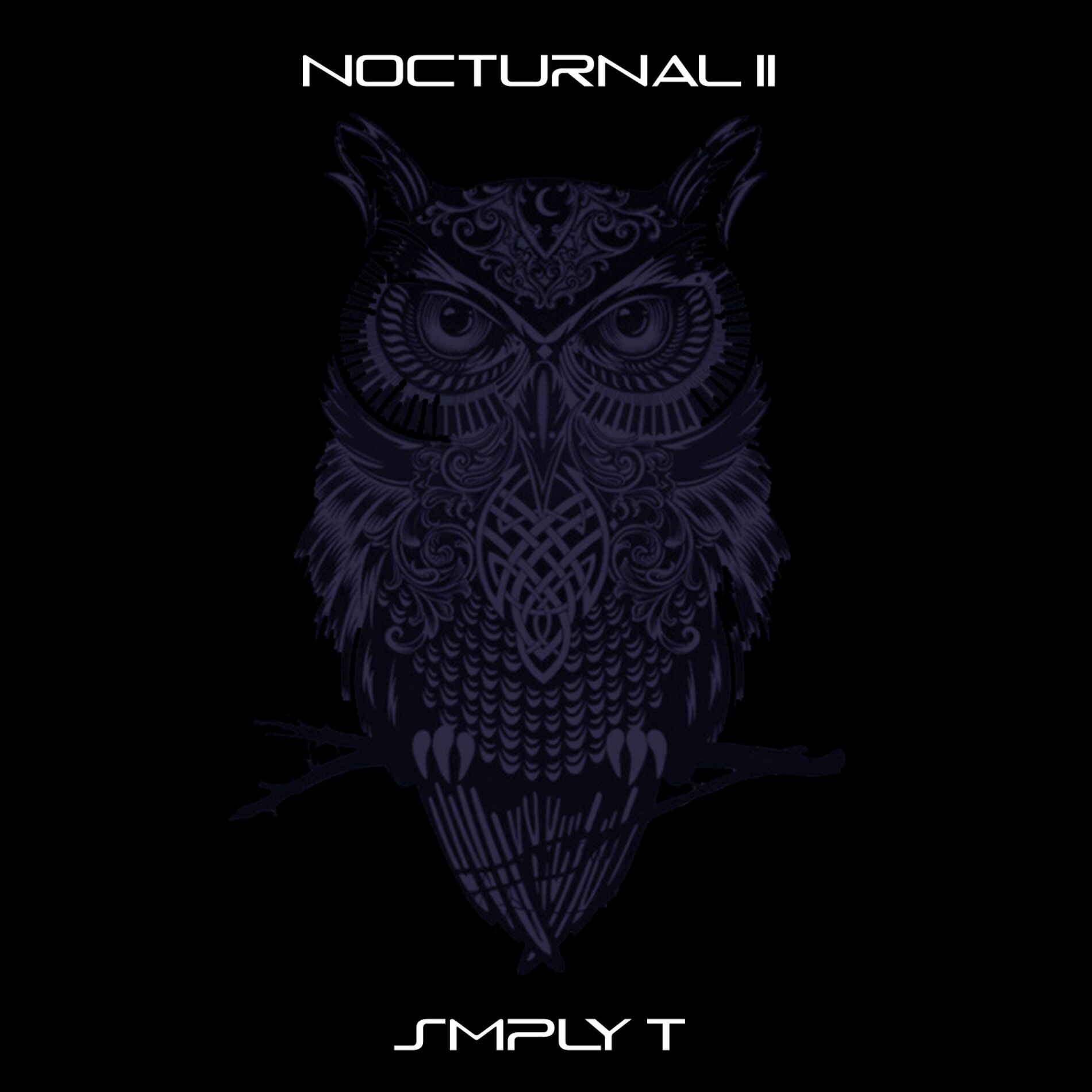 Album cover of Nocturnal II