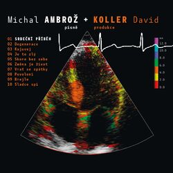 Cover of Srdecni pribeh