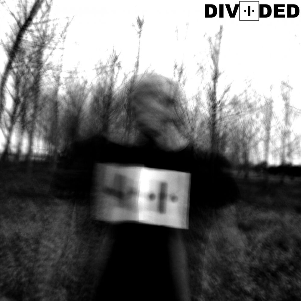 Picture of In Darkness