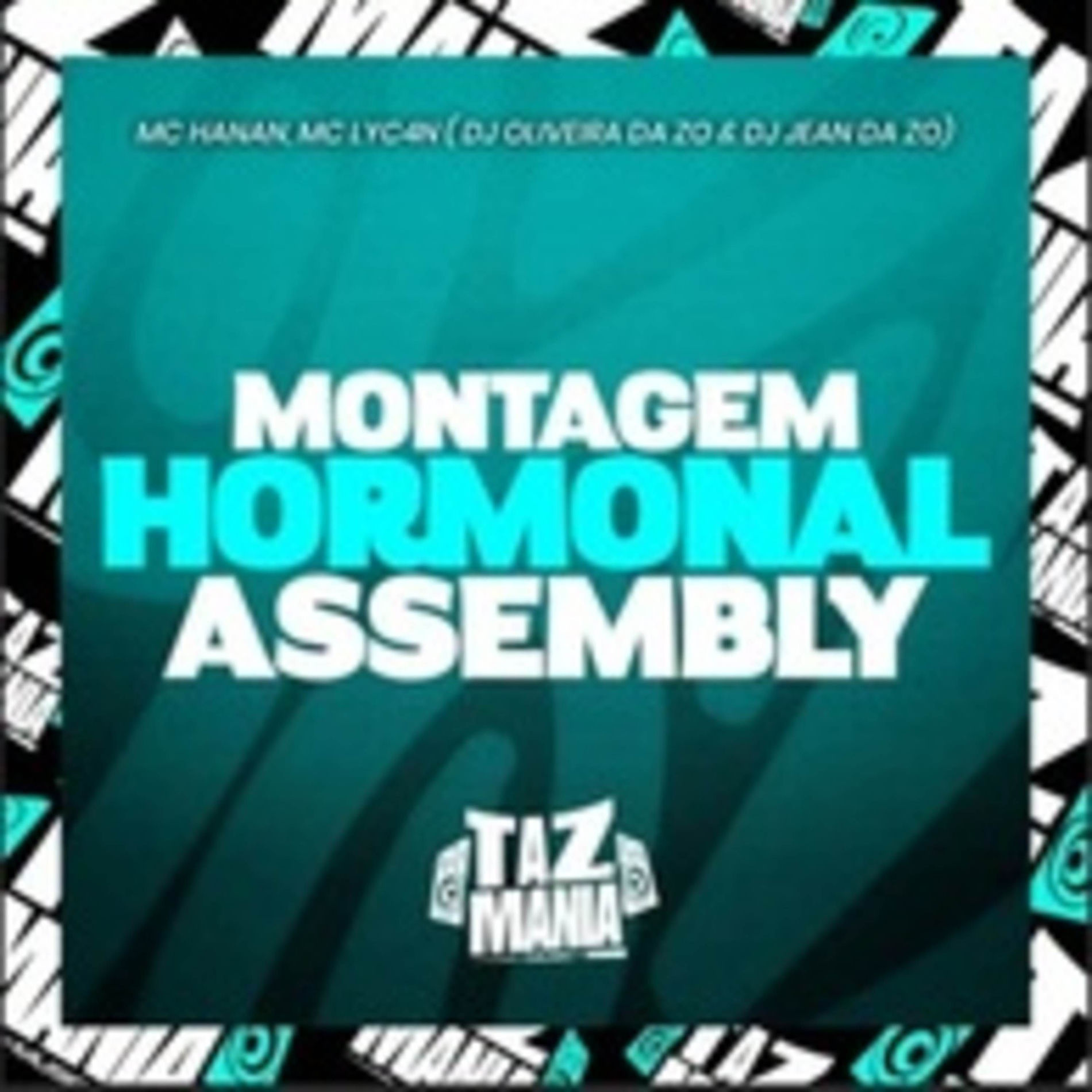 Album cover of Montagem Hormonal Assembly