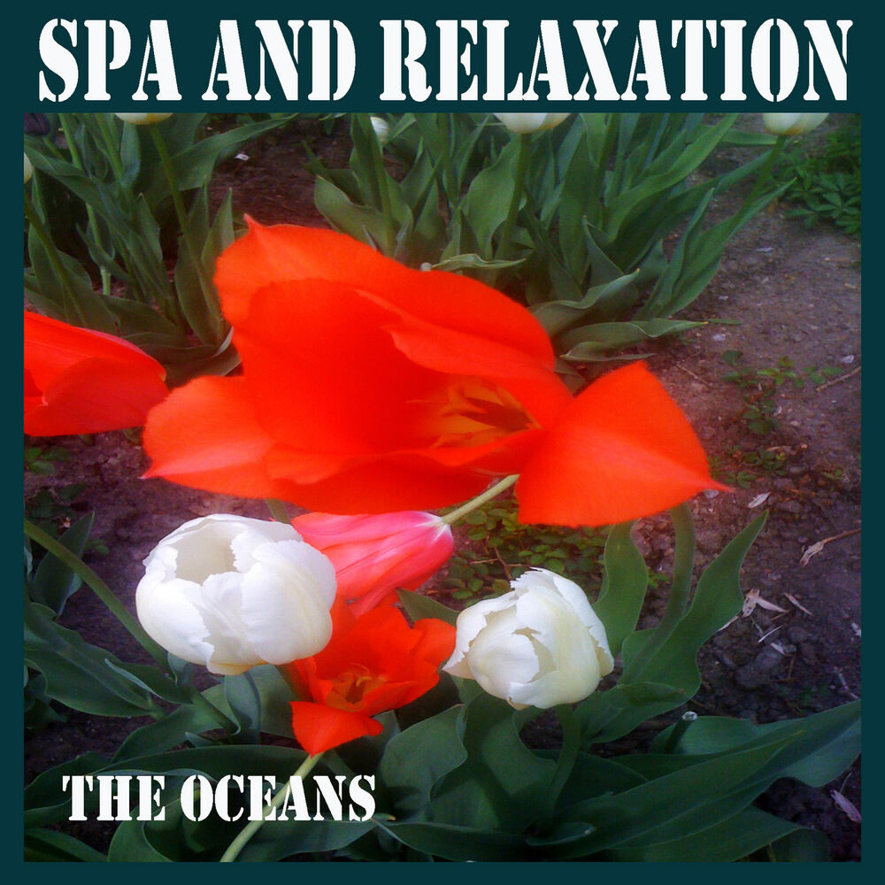 Picture of Spa and Relaxation